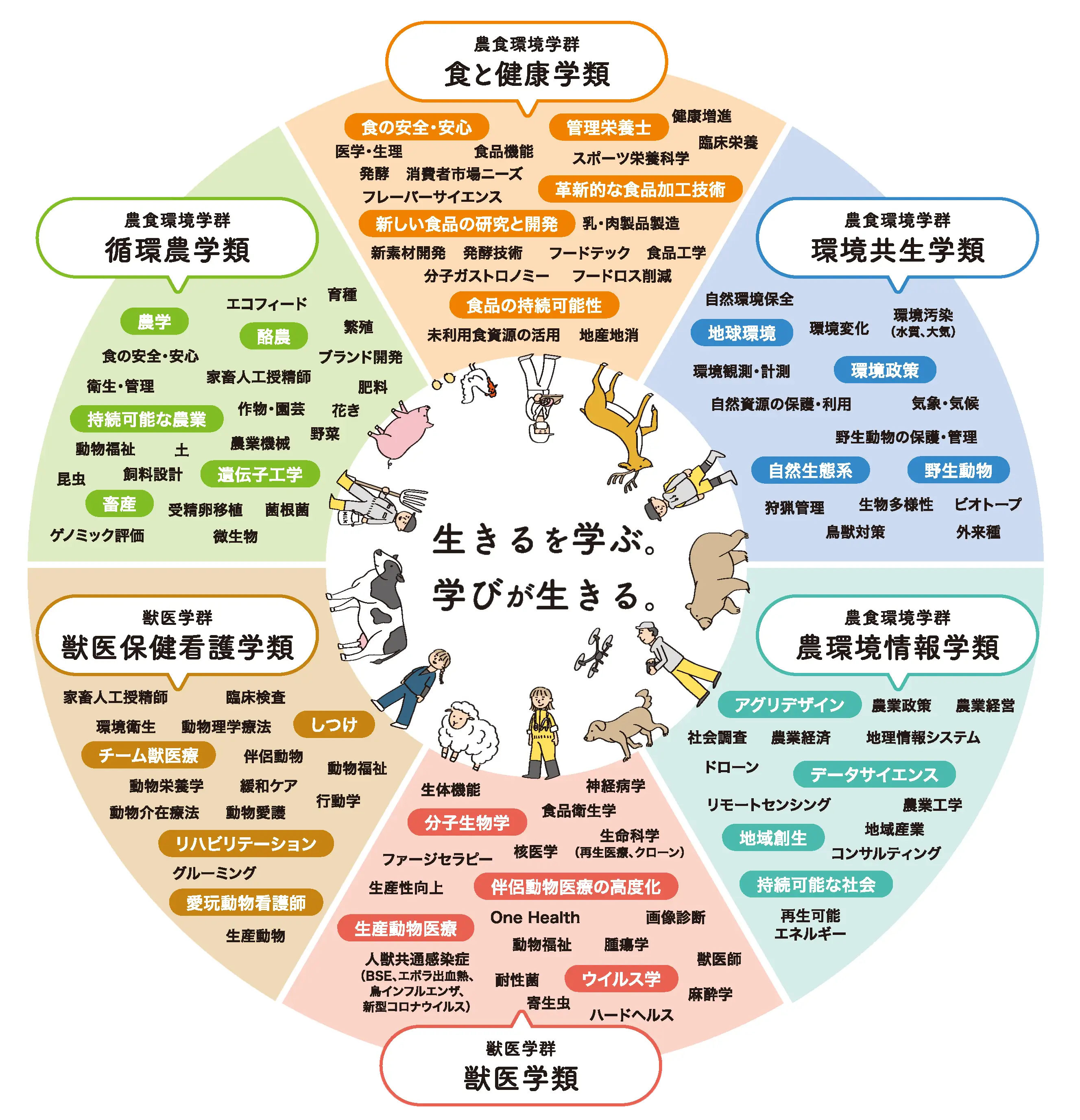 つながる、広がる、深まる 酪農学園大学の学び