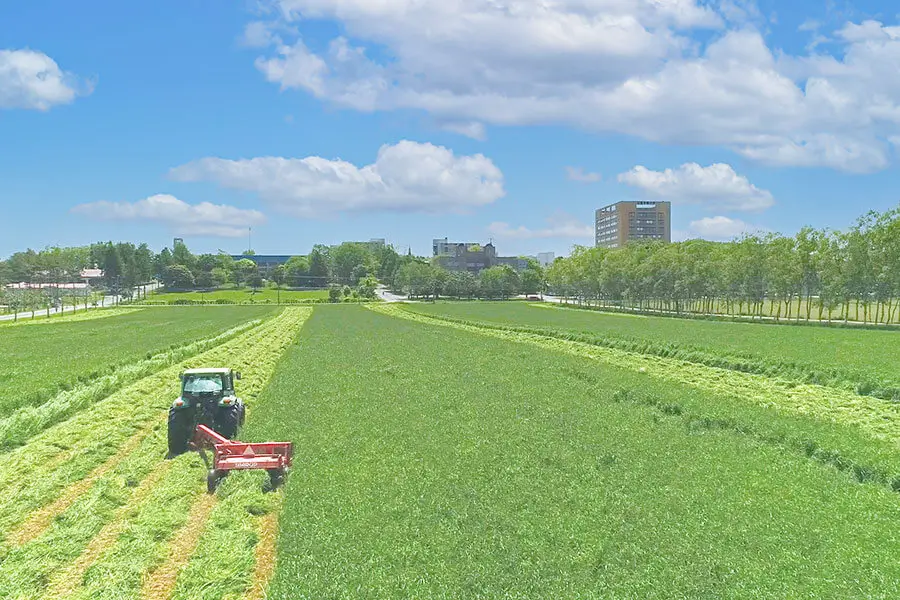 粗飼料生産圃場