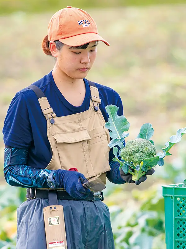 学びのポイント