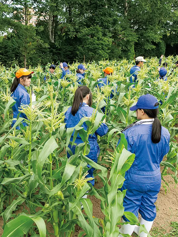 学びのポイント