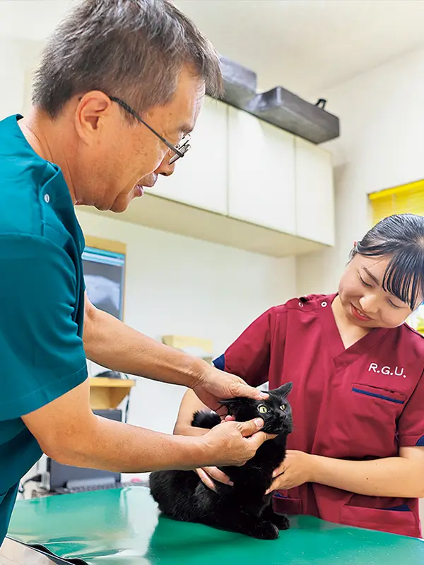 学びのポイント