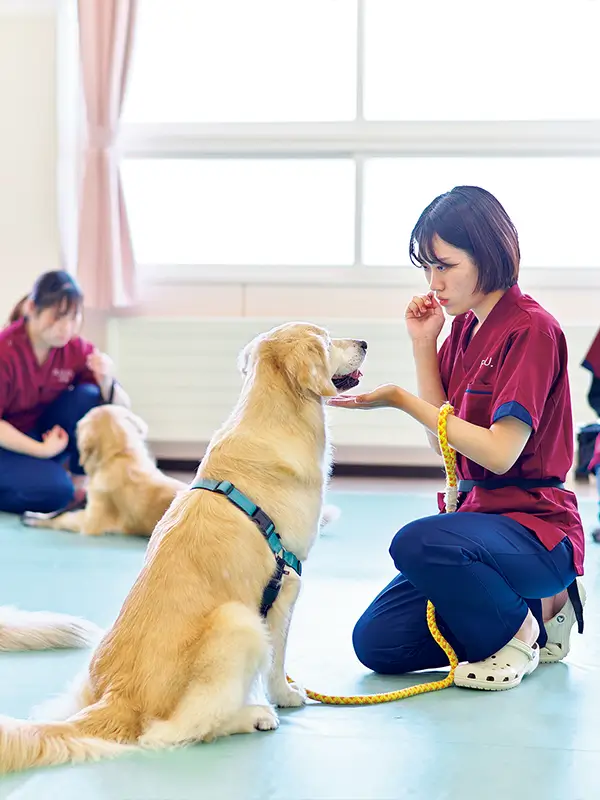 学びのポイント
