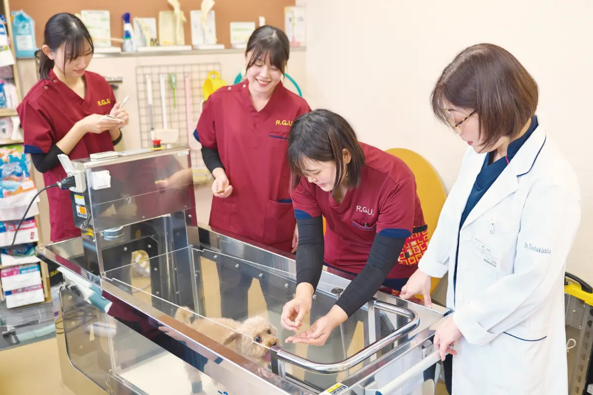 環境共生学類の紹介画像