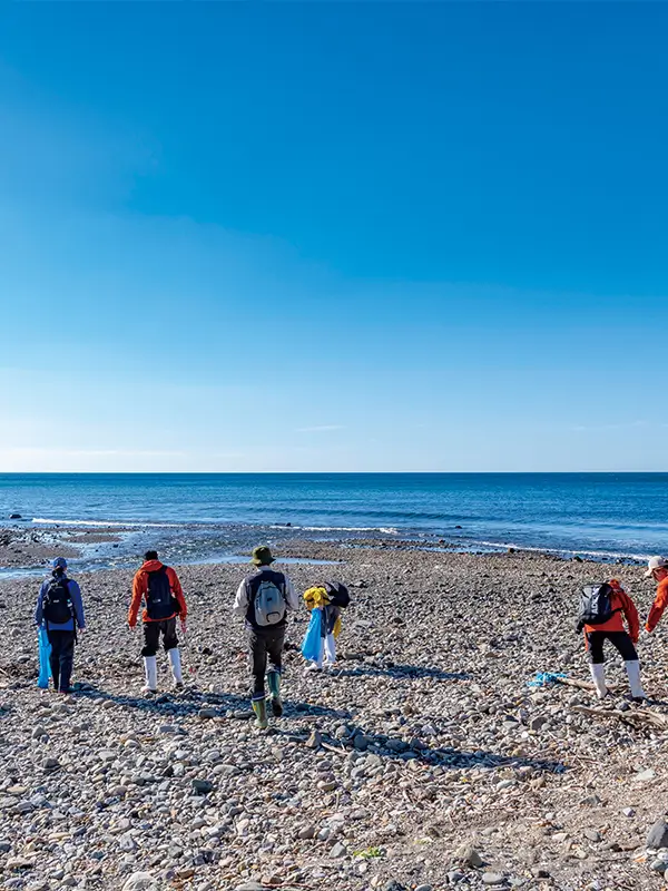 学びのポイント