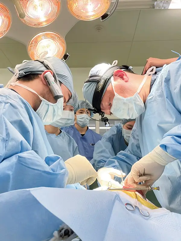 学びのポイント