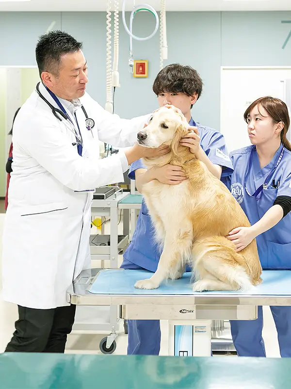 学びのポイント