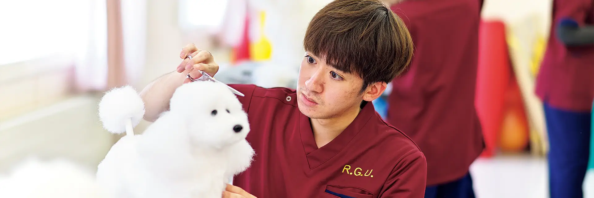 愛玩動物看護師（国家資格）