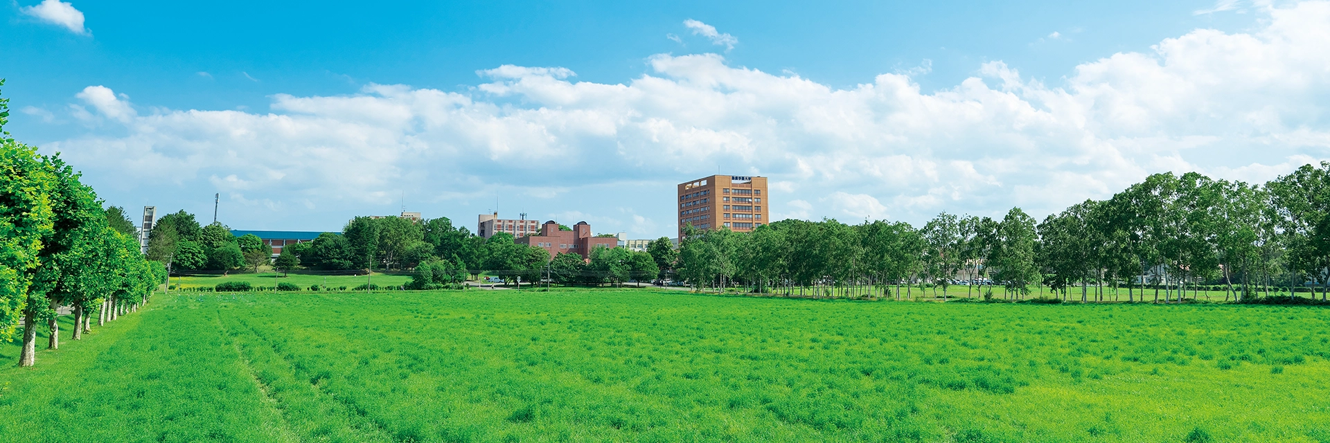 数字で見る酪農学園大学