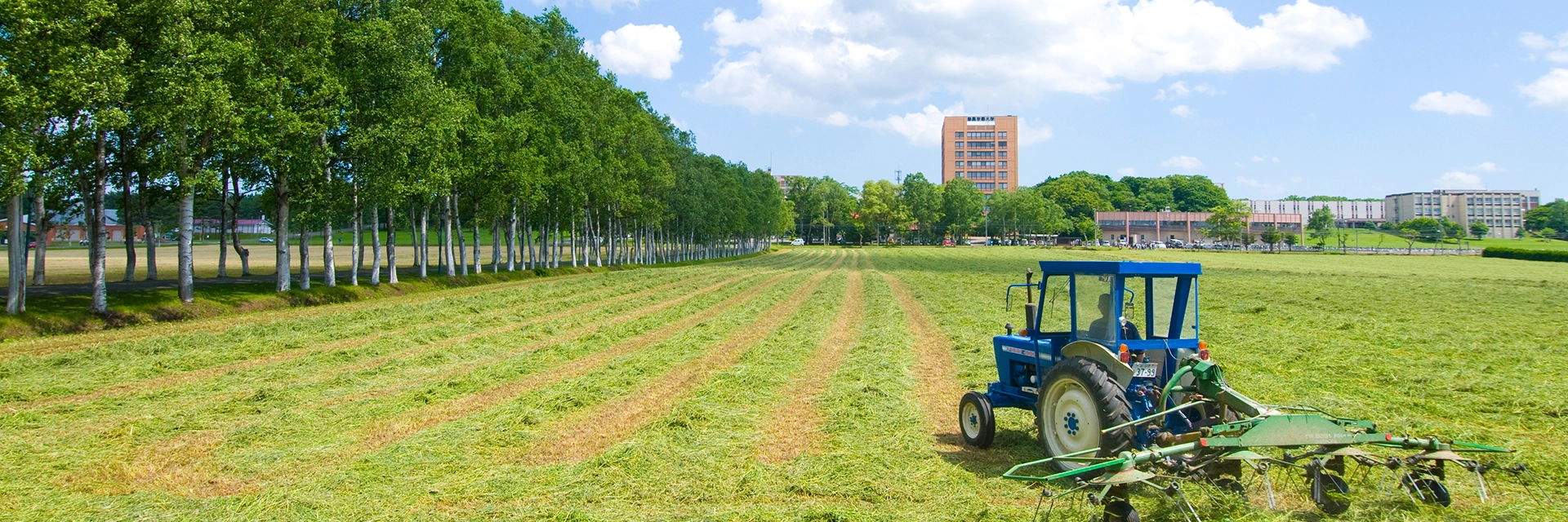 教育研究の目的・教育基本方針