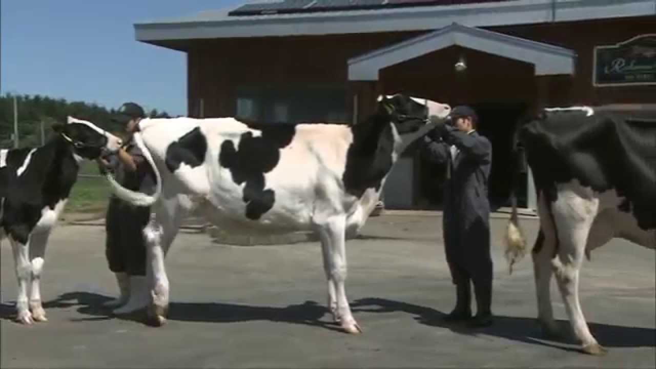 フィールド教育研究センターエンディング