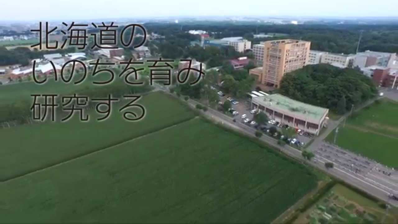 フィールド教育研究センター概要