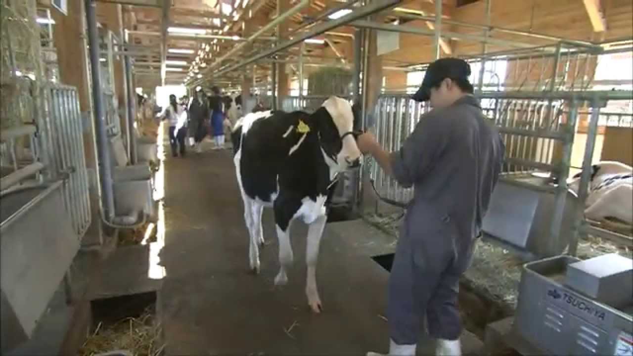 酪農生産ステーション