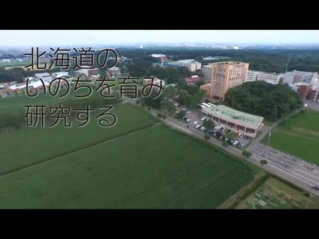 フィールド教育研究センター概要