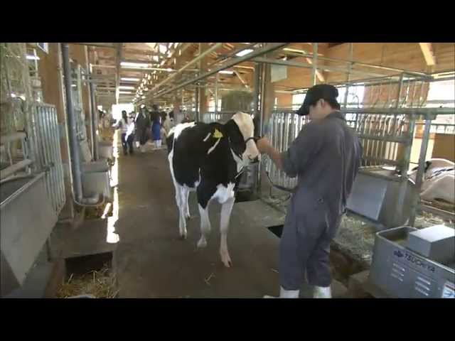 酪農生産ステーション