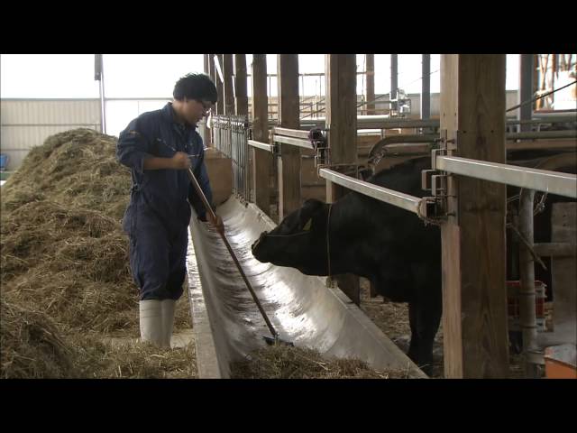 肉畜生産ステーション