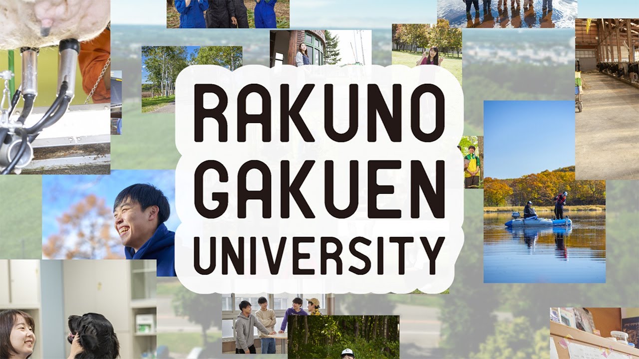 これはテスト記事。これはテスト記事。これはテスト記事。これはテスト記事。これはテスト記事。