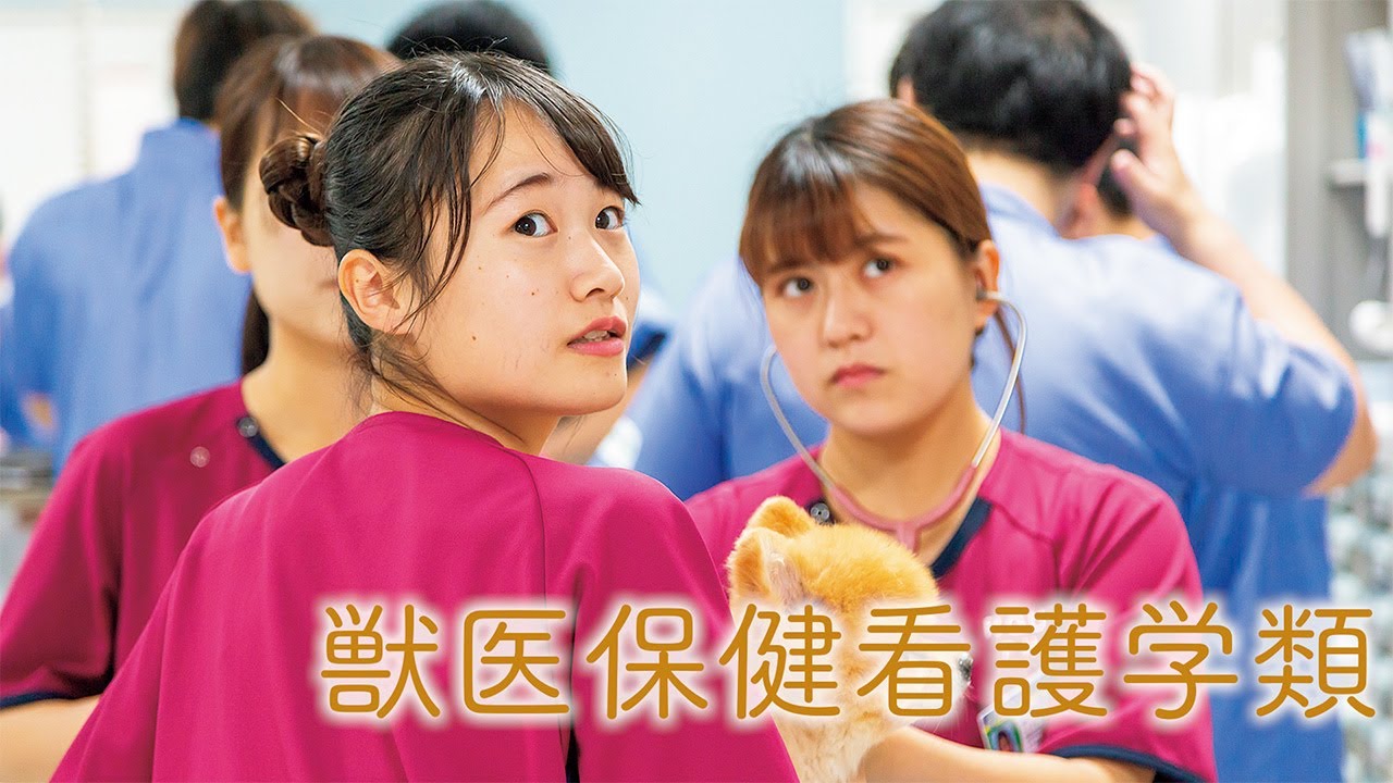 獣医保健看護学類