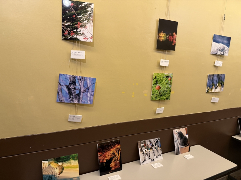 レンズ越しのあなたの景色