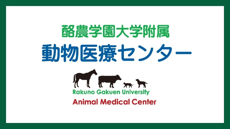 附属動物医療センター