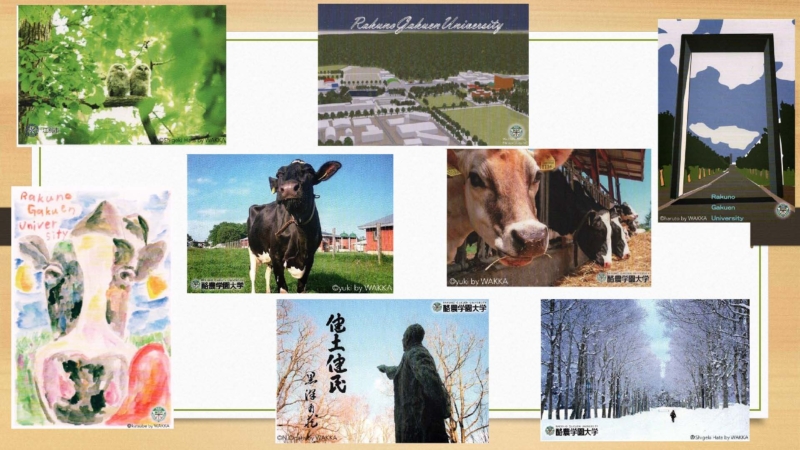 酪農学園大学　想いよ届けProject